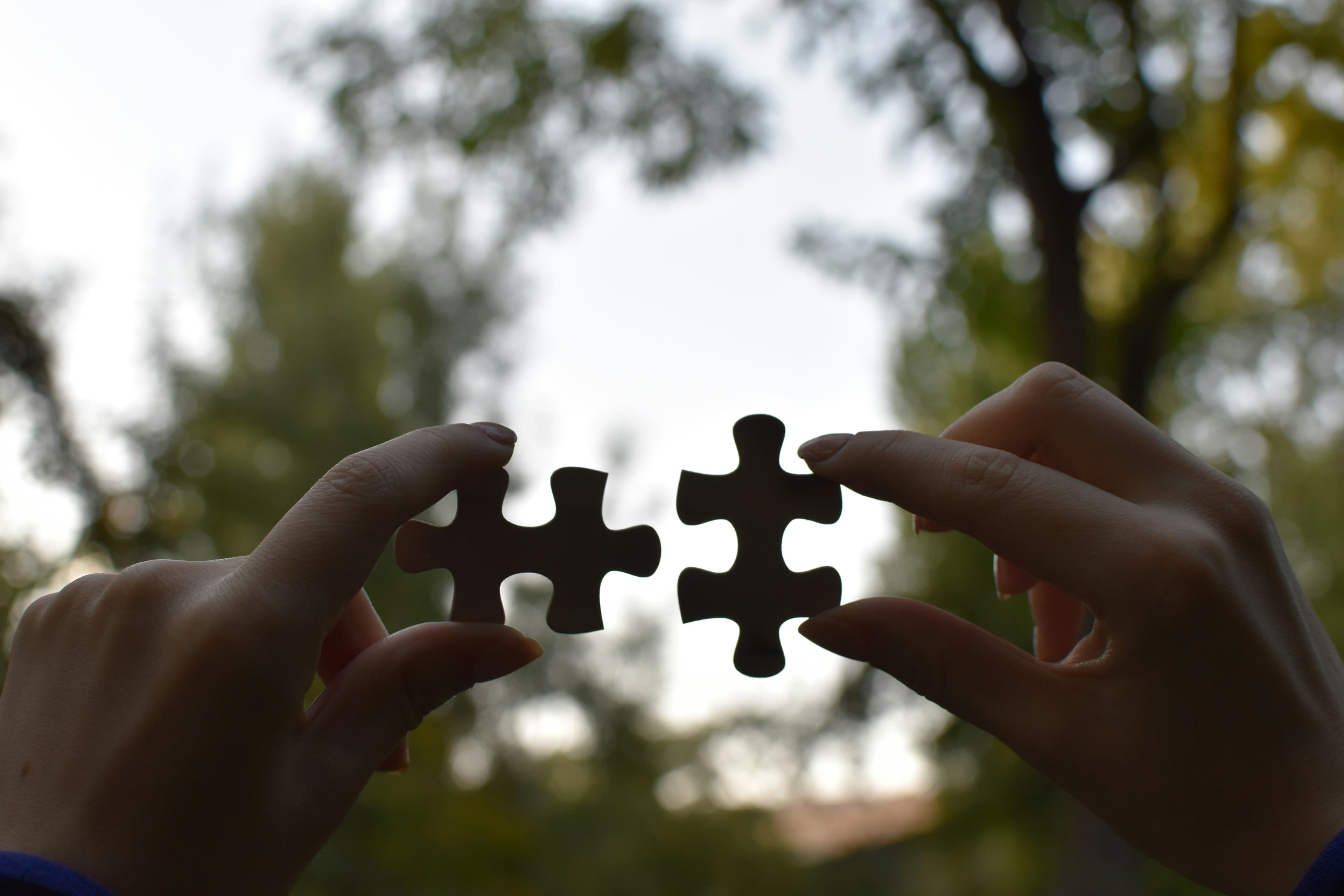 Our Partners