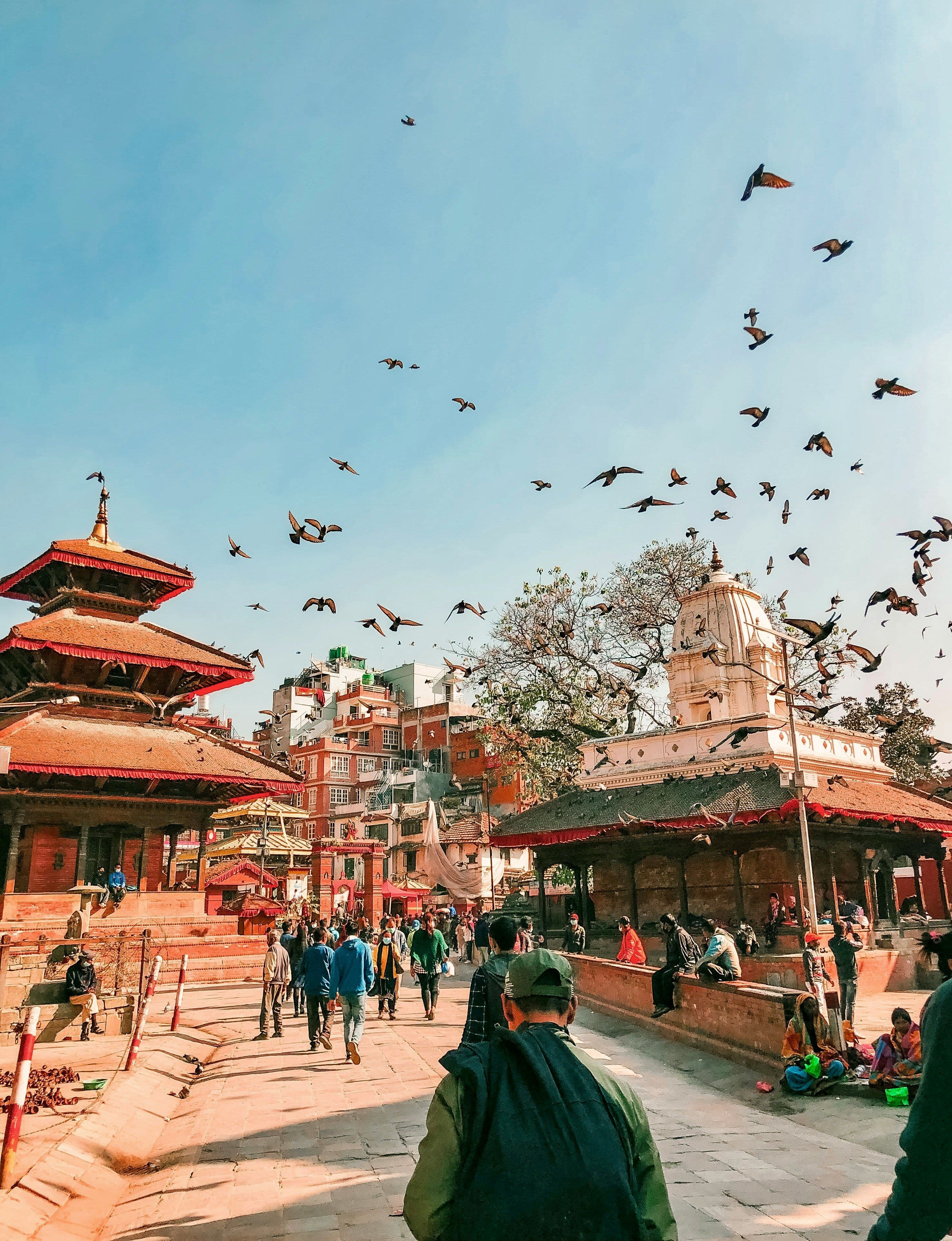 Kathmandu Sightseeing
