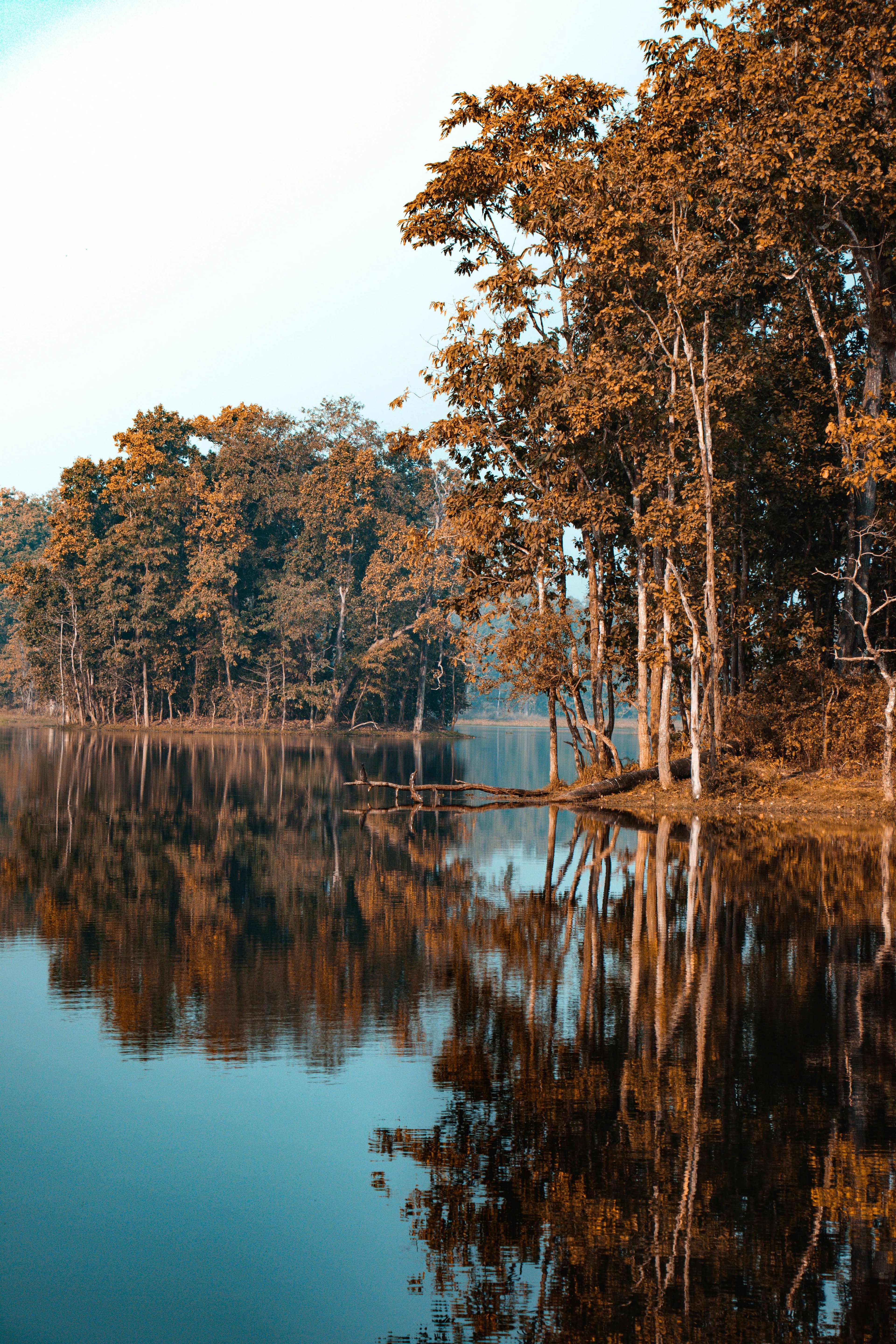 The "20,000 Lakes" — Exploration of a Unique Ecosystem