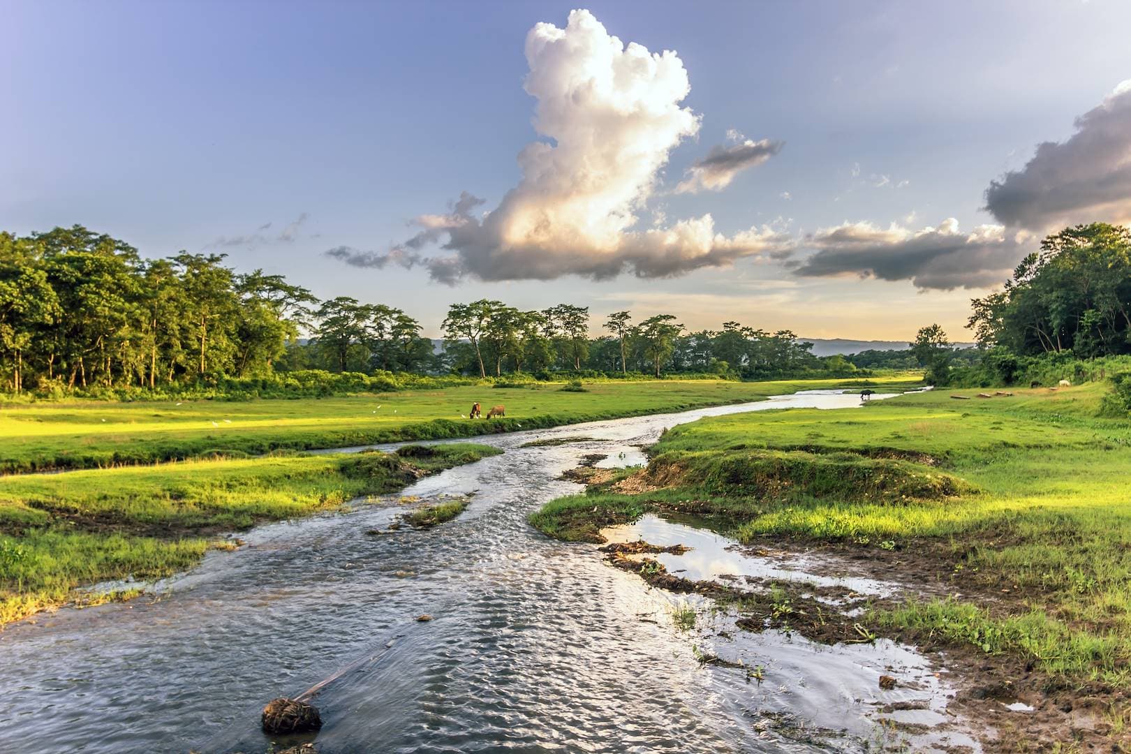 Chitwan National Park