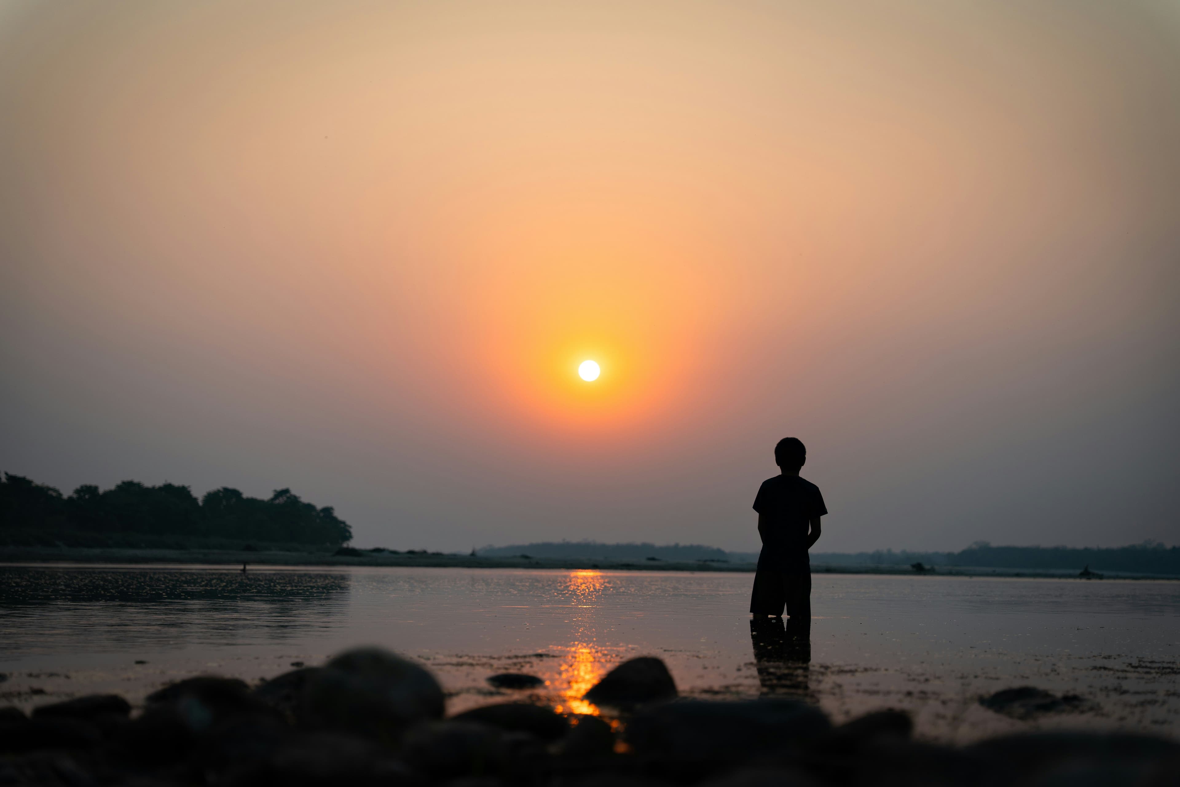 Chitwan Immersive Stay