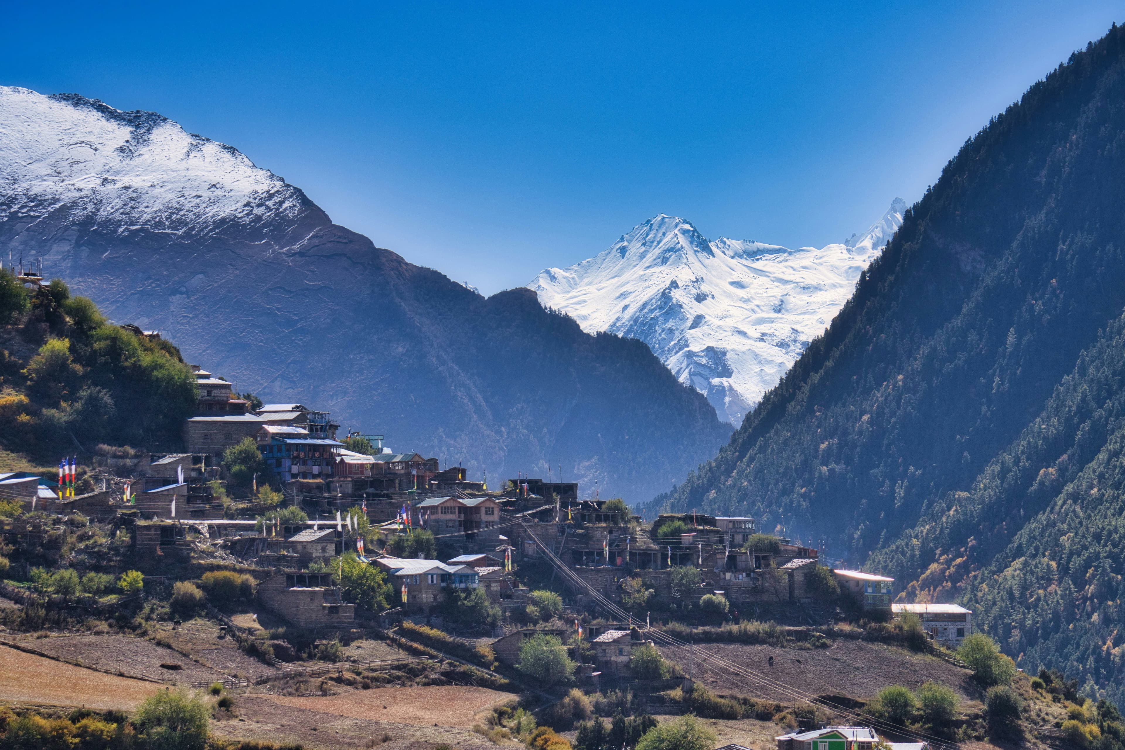 Ghandruk – Chhomrong — Between Forests and Summits